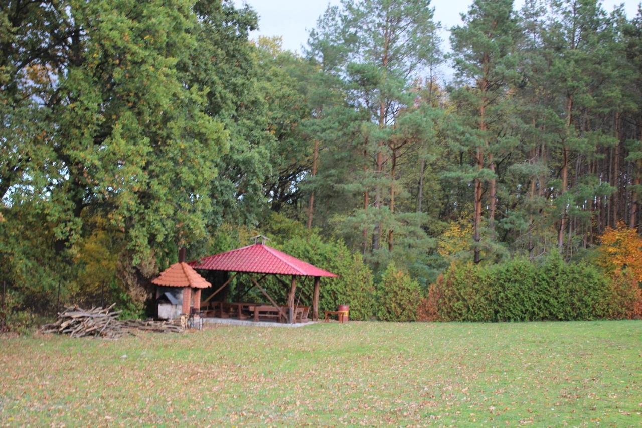 Gospodarstwo Agroturystyczne Agroletnica Świdnica Exterior foto
